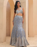 Starry-Eyed Silver Lehenga